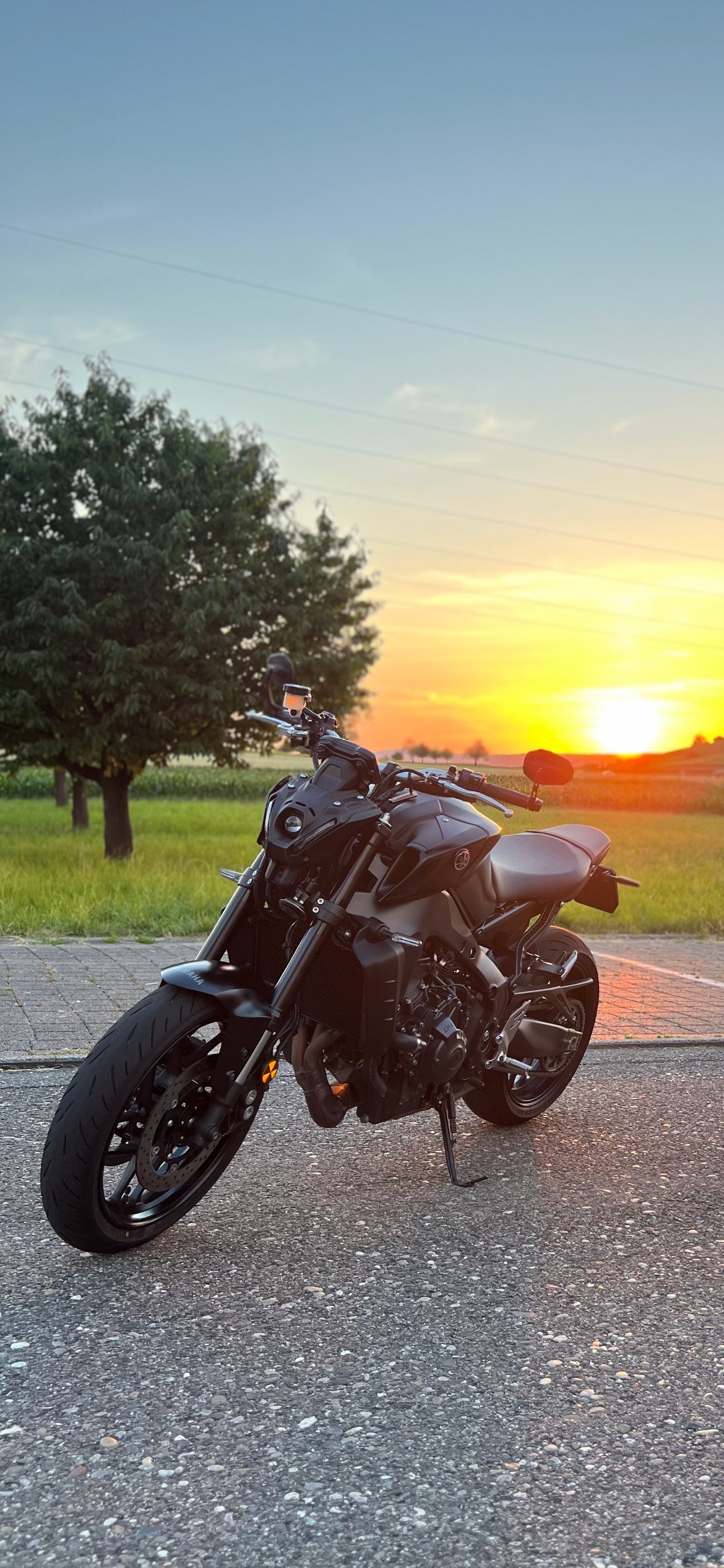YAMAHA MT-09-image-0