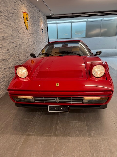 FERRARI GTS-image-8