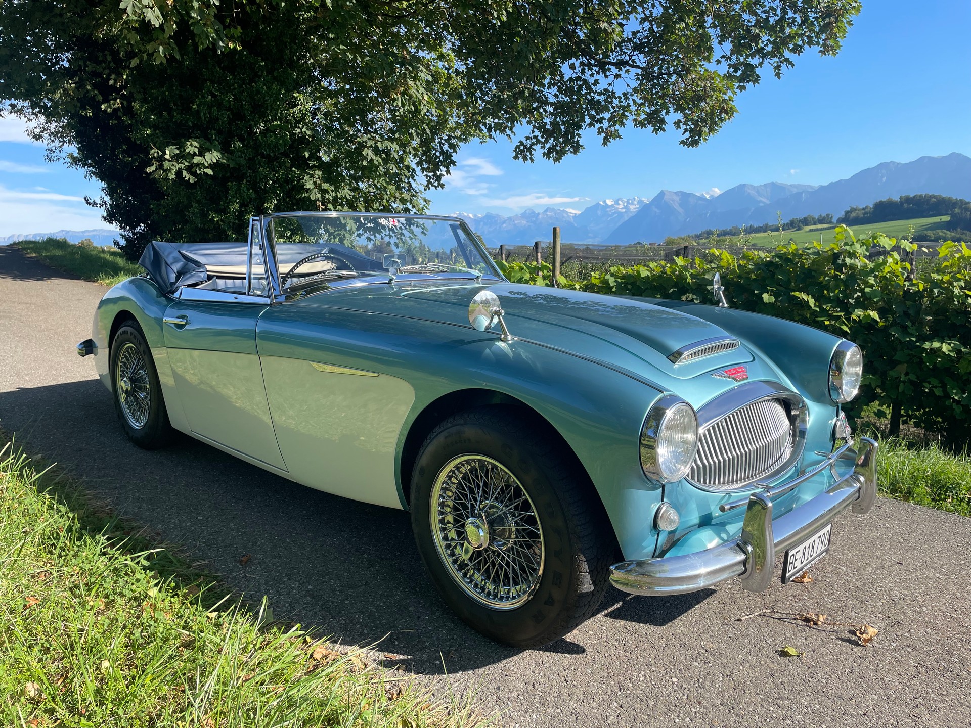 AUSTIN-HEALEY MK III 3000 Sport-image-6