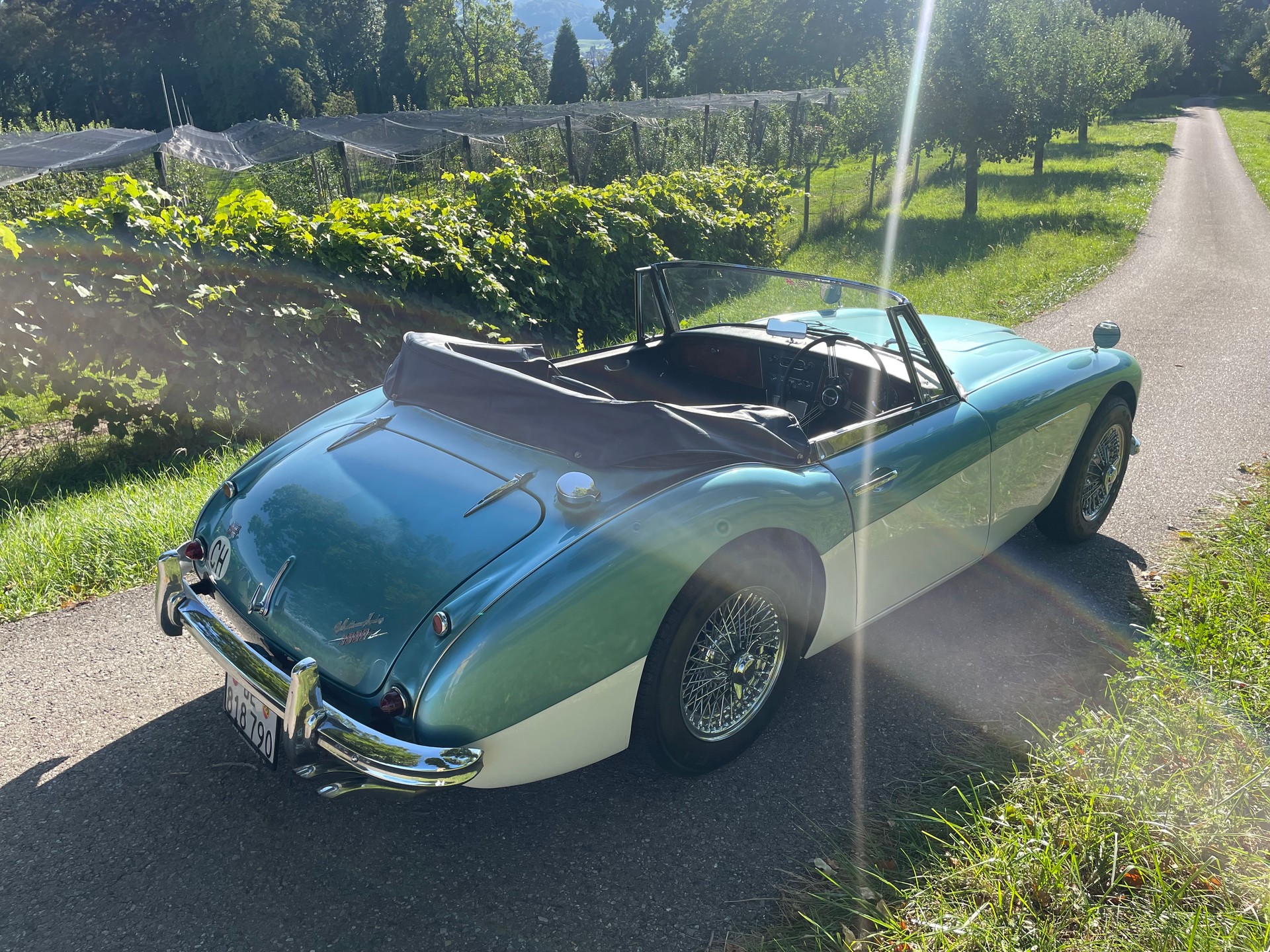 AUSTIN-HEALEY MK III 3000 Sport-image-4