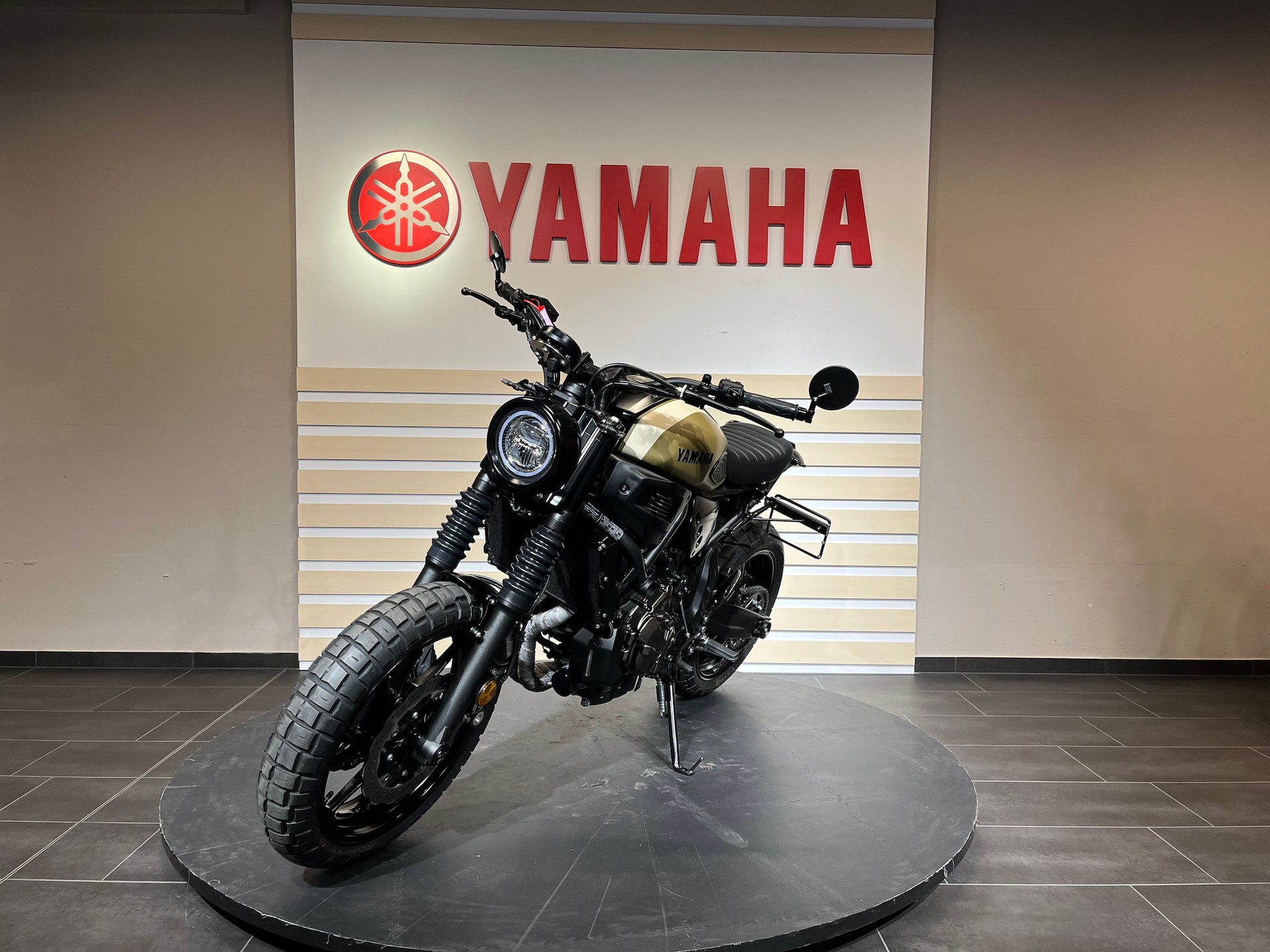 YAMAHA XSR 700 Coyote 2-image-2