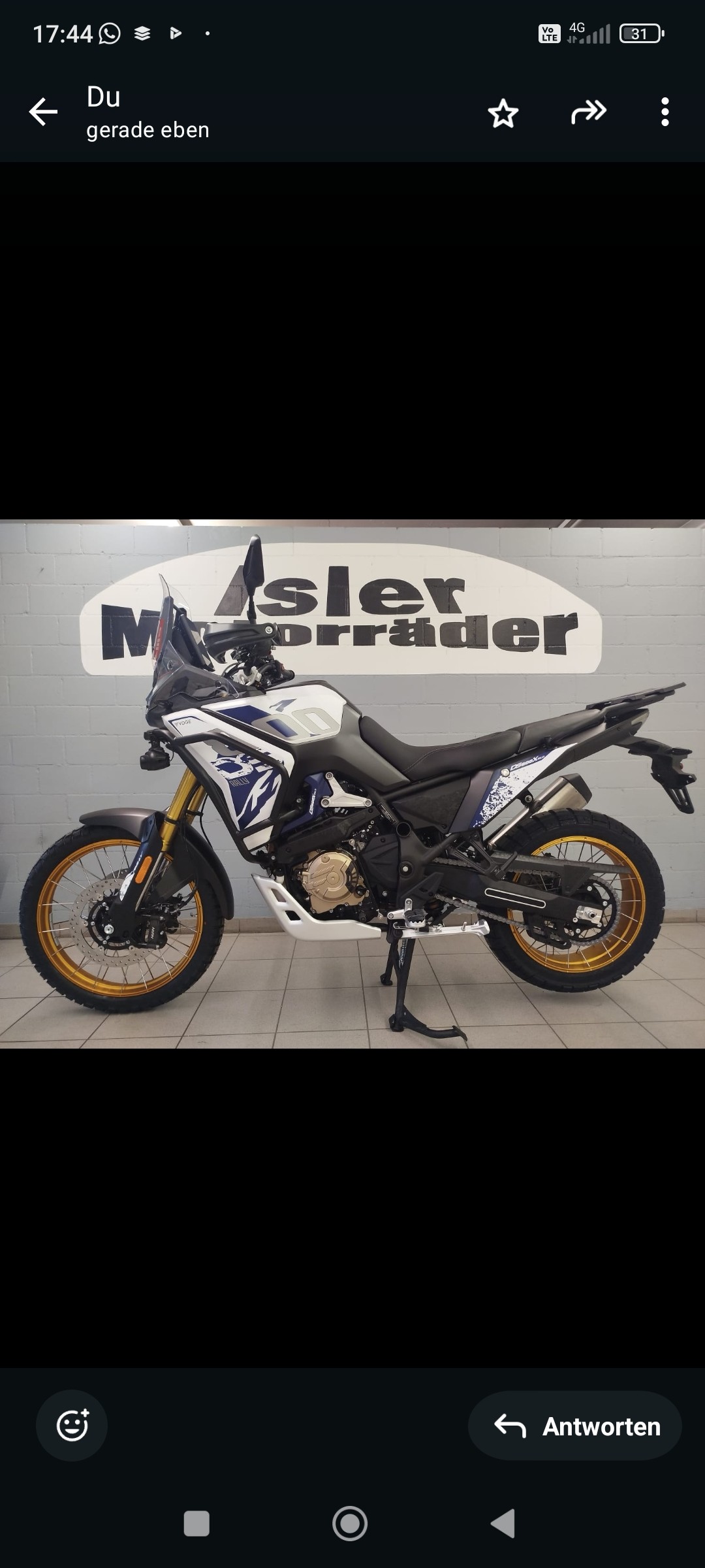 VOGE DS 800 X Rally-image-1