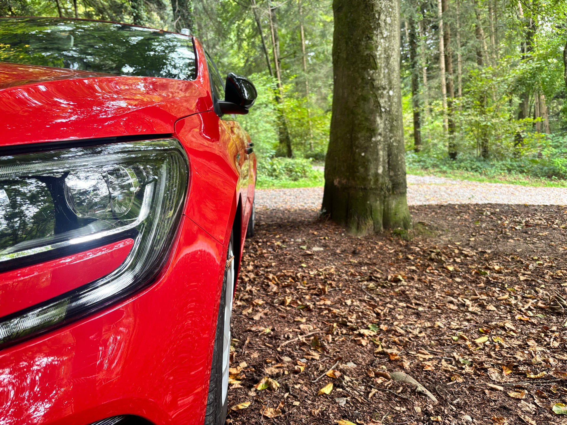 RENAULT Mégane Grandtour 1.5 dCi Business EDC-image-1