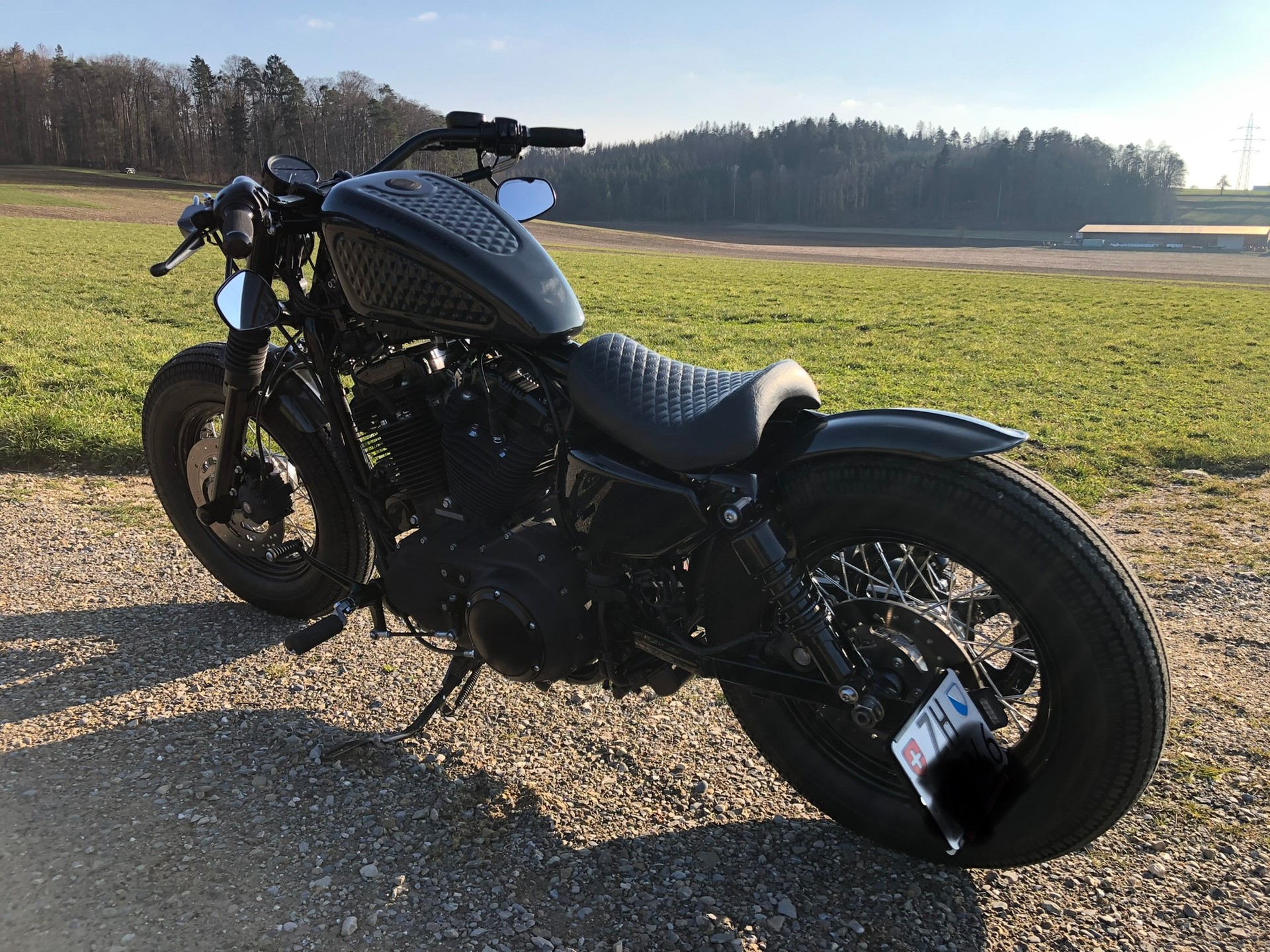 HARLEY-DAVIDSON XL 1200 X Forty Eight-image-2