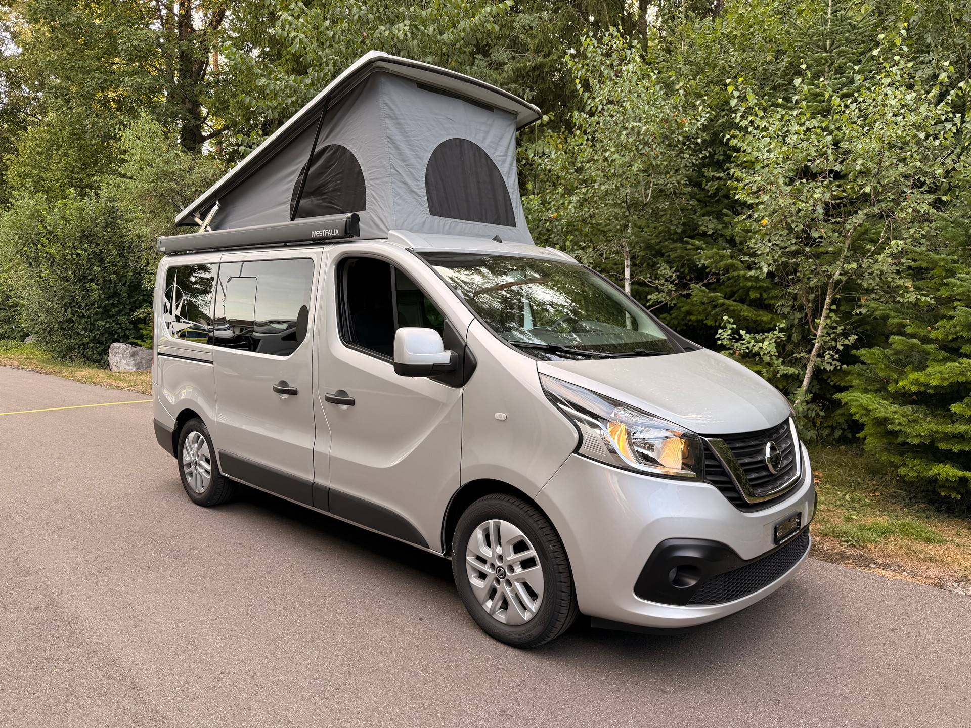 NISSAN Michelangelo dCi 170 2.9 L1H1 DCT