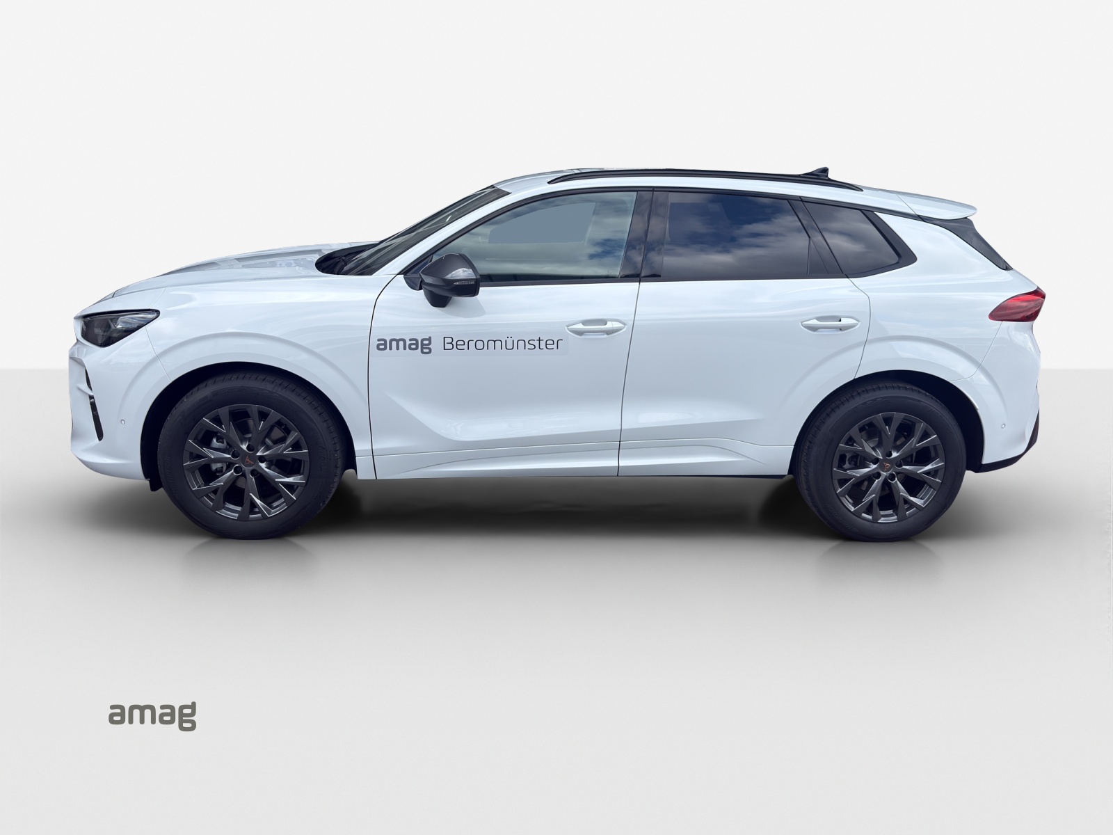 CUPRA Terramar 1.5 eTSI Prime Edition DSG-showroom-element-1