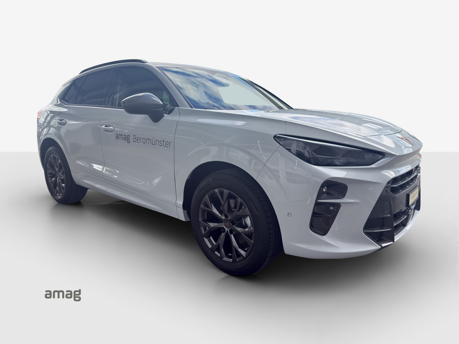 CUPRA Terramar 1.5 eTSI Prime Edition DSG-image-5