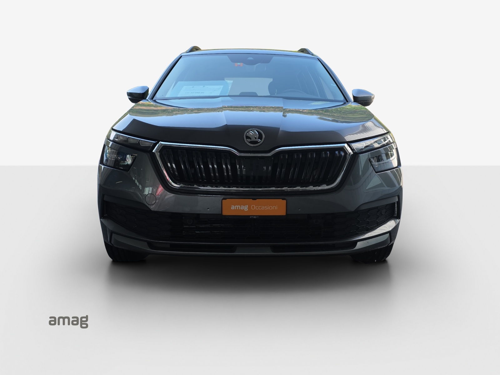 SKODA Kamiq 1.0 TSI Tour-image-6
