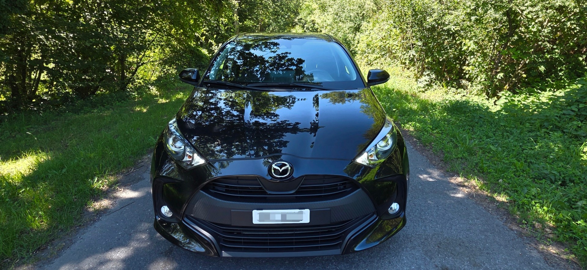 MAZDA 1.5 Hybrid Pure-image-2