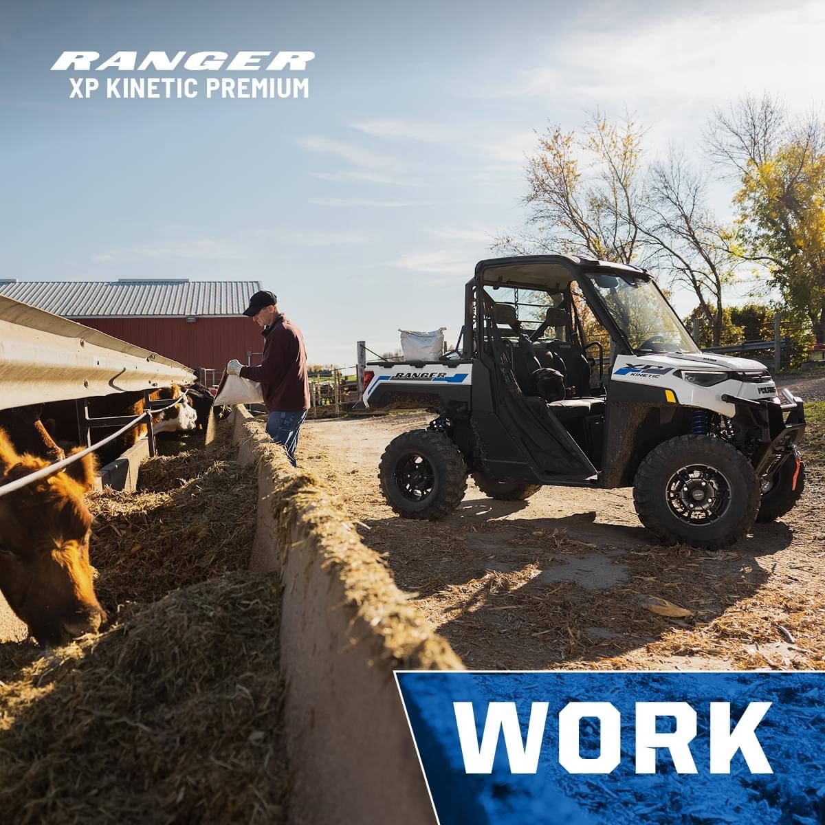 POLARIS RANGER-image-10