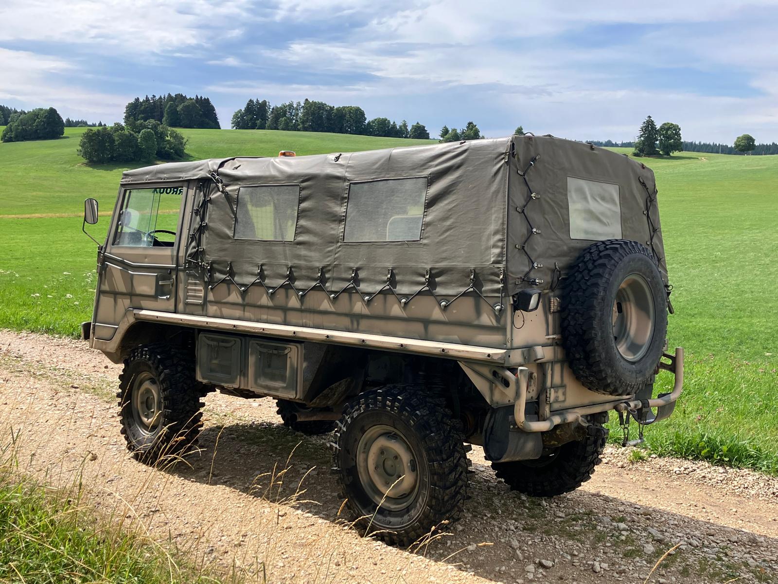 STEYR-image-2