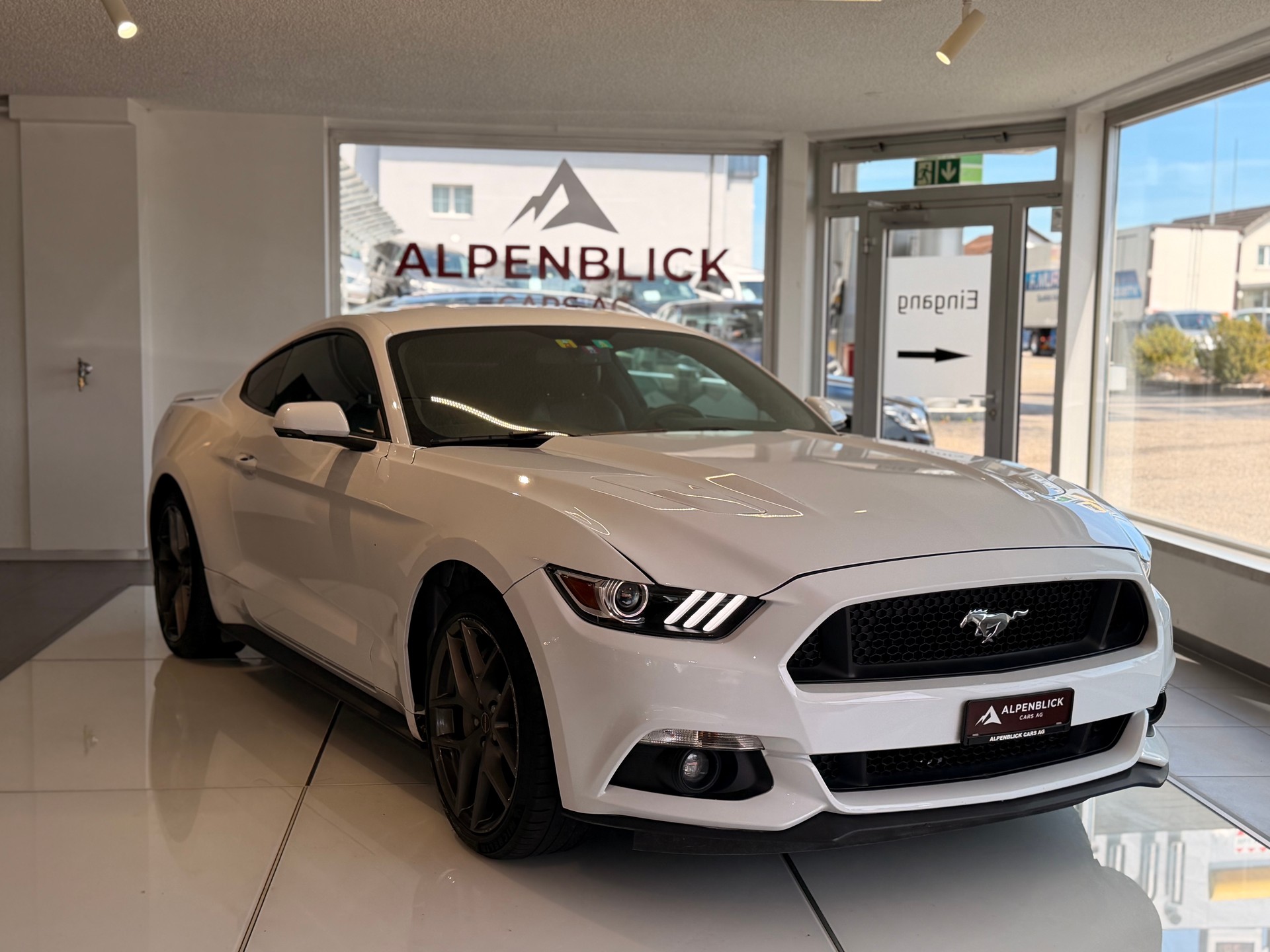 FORD Mustang Fastback 5.0 V8 GT Automat-showroom-element-2