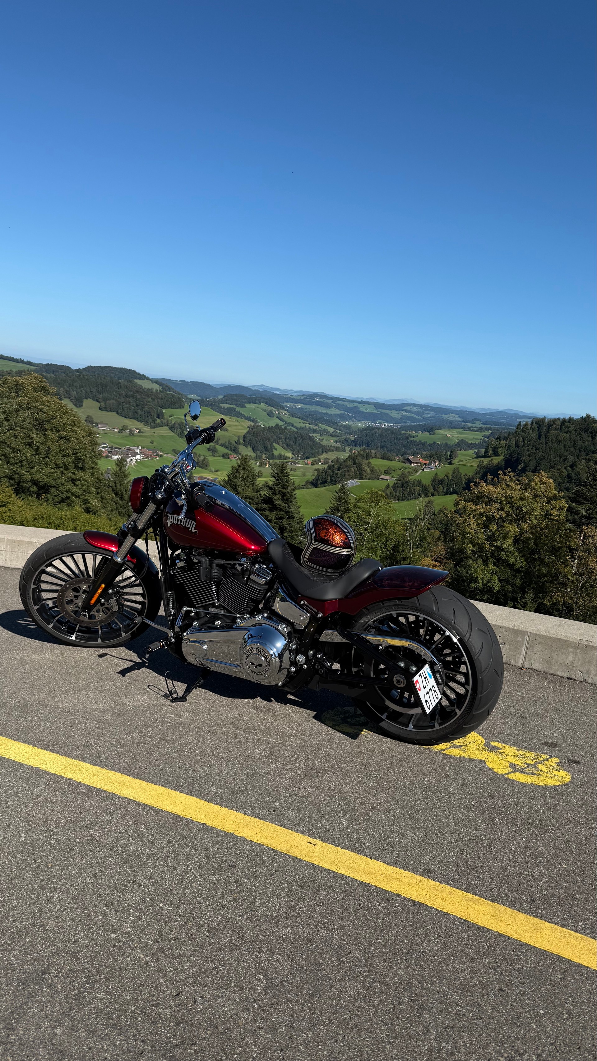 HARLEY-DAVIDSON FXBR Breakout 117-image-3