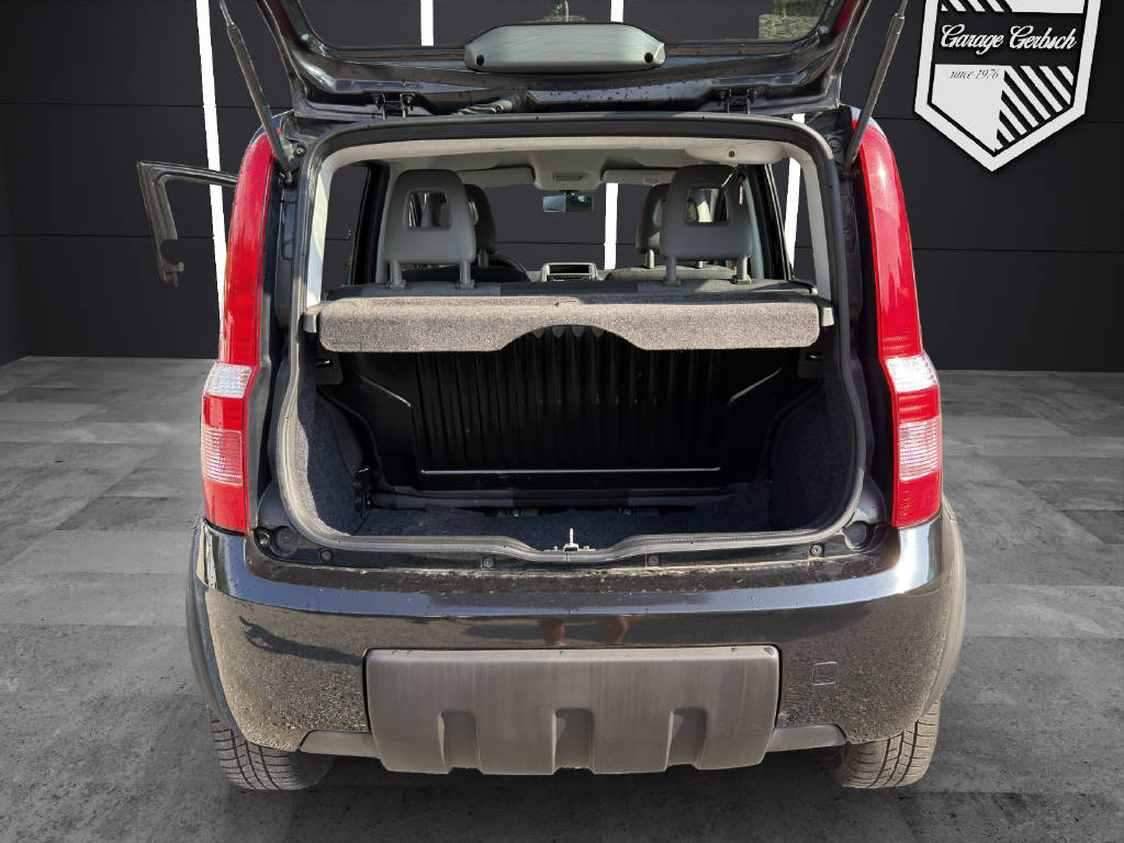FIAT Panda 1.3 JTD 75 Climbing 4x4-image-11