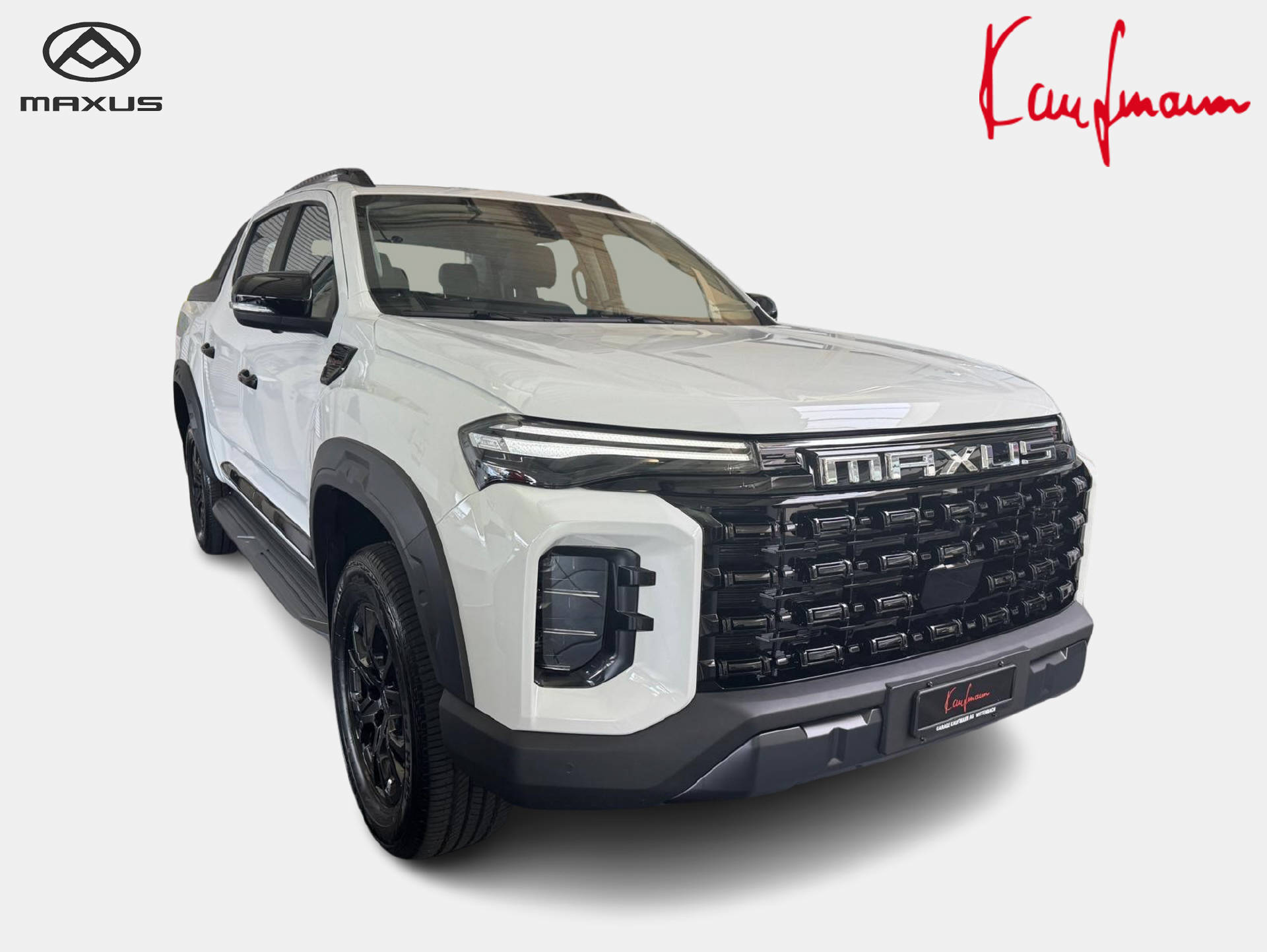 MAXUS T60-showroom-element-1