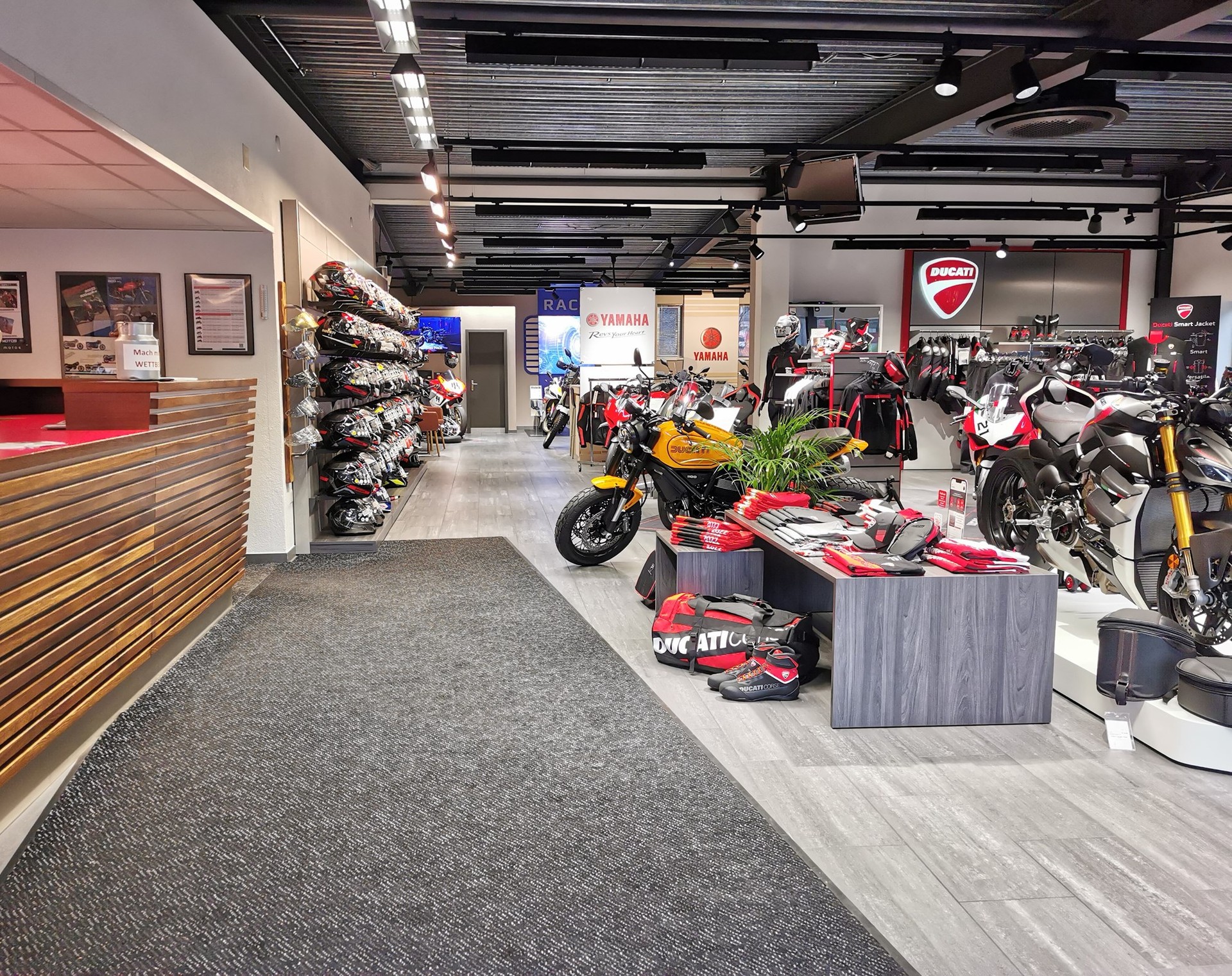 FANTIC Competition-business-6