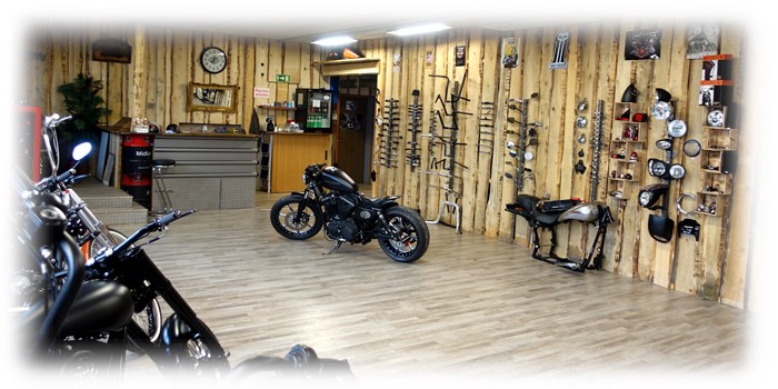 HARLEY-DAVIDSON FLSTFI Fat Boy-business-11