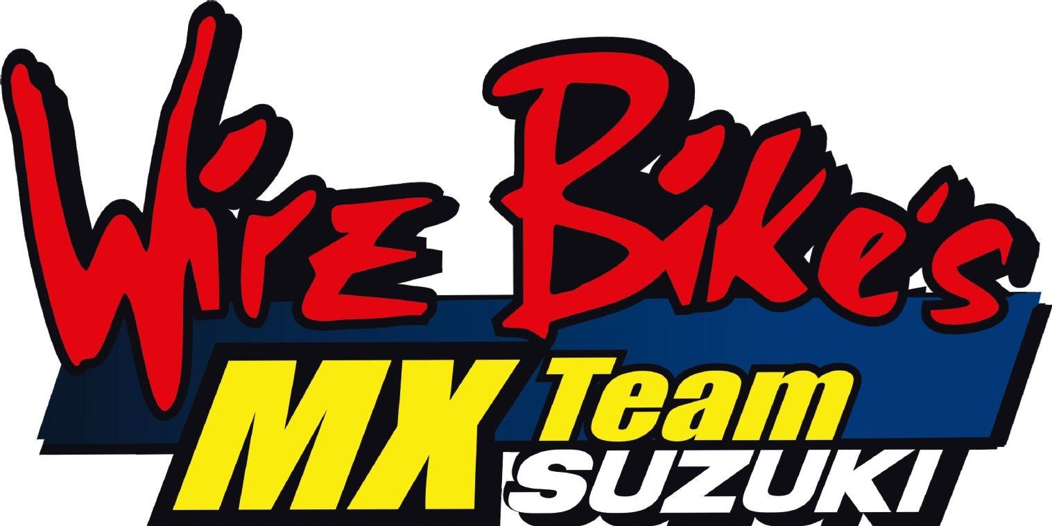 SUZUKI GSX-S 125-business-6